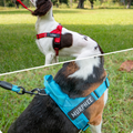 Personalized Dog Harness Reflective Adjustable Dog Harness Vest For small Medium large Dog Harness Vest Training Walking Running Pawora