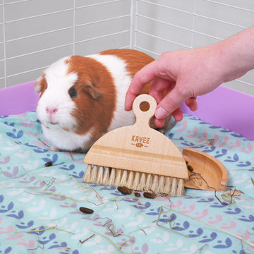 Swept Off Your Paws | Guinea Pig and Rabbit Dustpan & Brush Set Kavee Pets Ltd UK