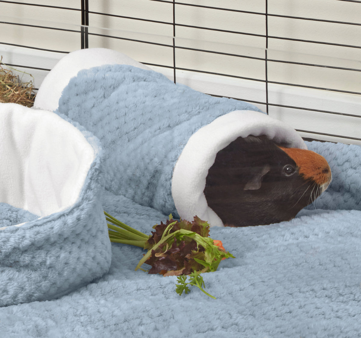 Extra Soft Tunnel for Guinea Pigs | Dusky Blue Kavee Pets Ltd UK