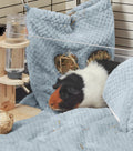 Extra Soft Hay Bag for Guinea Pigs | Dusky Blue Kavee Pets Ltd UK
