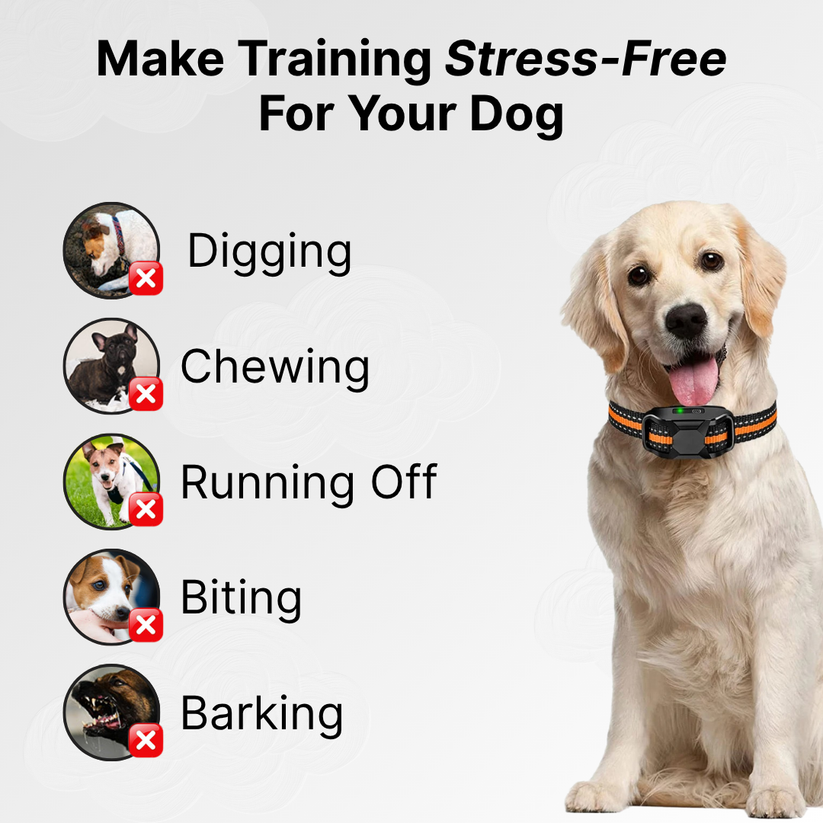 Remote Control Dog Training E-Collar Pawora UK